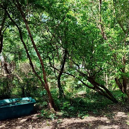 Tres Belle Maison En Bois,dans La Marina, 10pers, Au Bord De Leau Casa vacanze *