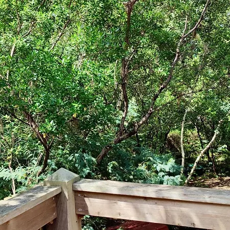 Tres Belle Maison En Bois,dans La Marina, 10pers, Au Bord De Leau Casa vacanze Lacanau