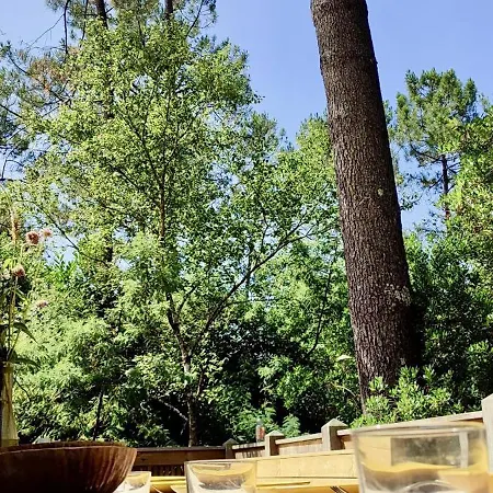 Casa vacanze Tres Belle Maison En Bois,dans La Marina, 10pers, Au Bord De Leau