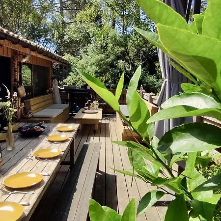 Tres Belle Maison En Bois,dans La Marina, 10pers, Au Bord De Leau * Lacanau