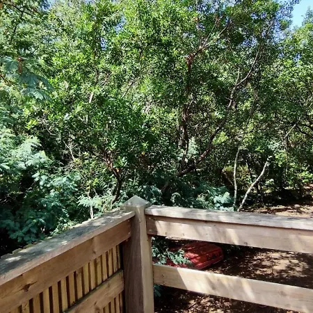 Tres Belle Maison En Bois,dans La Marina, 10pers, Au Bord De Leau Casa vacanze *
